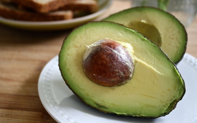 avocado frutto chetogenico